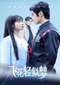 飞花轻似梦全集(大结局)