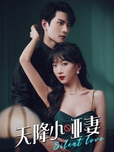 天降小哑妻集(大结局)
