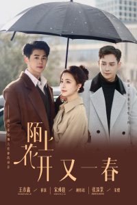 陌上花开又一春(全集)