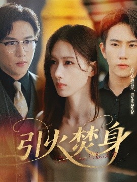 引火焚身(全集)